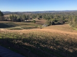 jeep-wine-tour-022.jpg