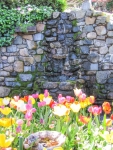 0418-Alleghany-022.jpg